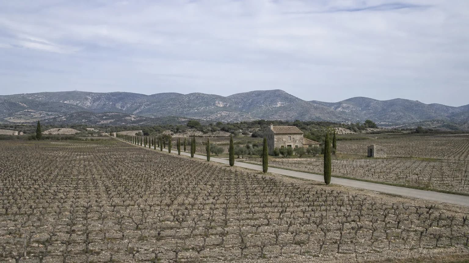 Plaine viticole de l'Enclave des Papes autour de Valréas, mas isolé au milieu des vignes